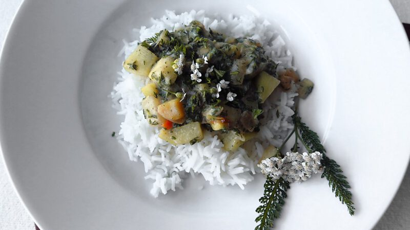 „KohlrabiGemüse mit heller, würziger SchafgarbenSoße“