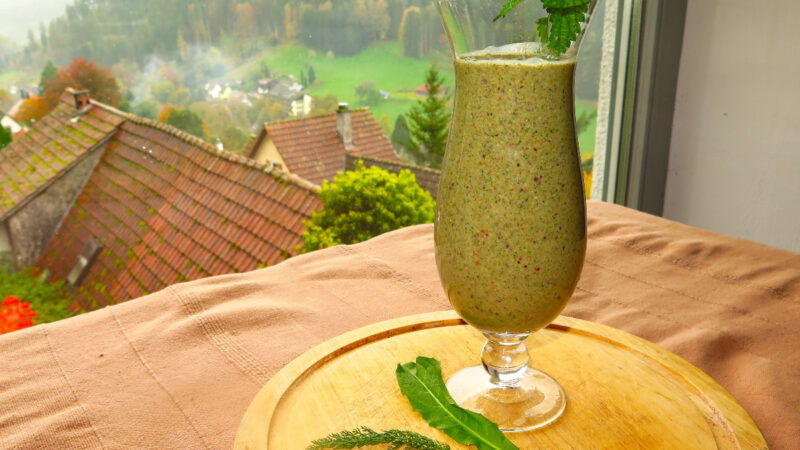 „Cremiger WildkräuterSmoothie“